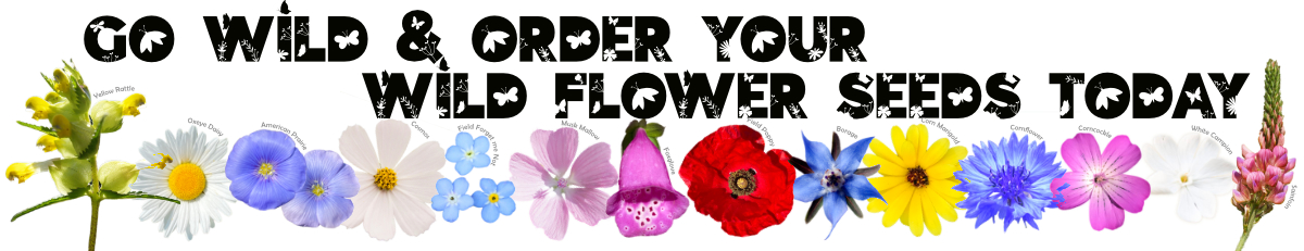 Order Flower Seeds