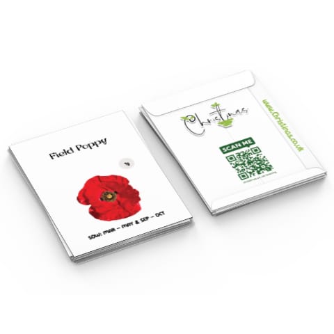 Field Poppy